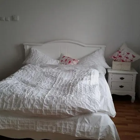 Central Appartment - Heart Of Bucharest - Sector 1 - New Renovated - Open Space Exterior photo