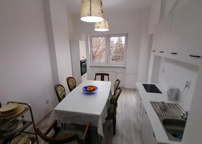 Central Appartment - Heart Of Bucharest - Sector 1 - New Renovated - Open Space