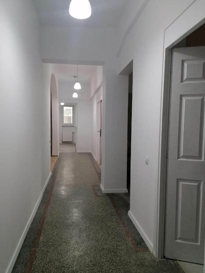- Heart Of - Sector 1 - New Renovated - Open Space Bucureşti
